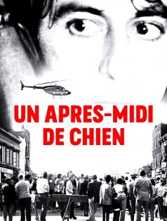 Affiche de l'évènement CINÉ-CULTE >>> UN APRÈS-MIDI DE CHIEN | VOST à Châlons-en-Champagne
