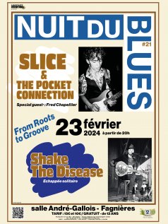 Affiche de l'évènement Nuit du Blues #21- From roots to groove ! à Fagnières